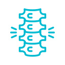 Chiropractic spine illustration and appointment scheduling